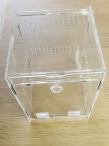 Jumping spider enclosure