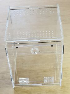 Jumping spider enclosure