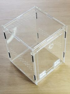 Jumping spider enclosure