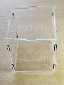 Jumping spider enclosure